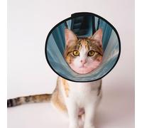 Custom Pet cones - Unique Design Cat & Dog Cone, Collar for Post-Surgery Recovery, Adjustable Neck Turquoise colored horizon S