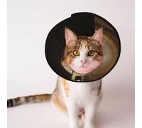 Custom Pet cones - Unique Design Cat & Dog Cone, Collar for Post-Surgery Recovery, Adjustable Neck Unreal Engine Cello S