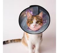 Custom Pet cones - Unique Design Cat & Dog Cone, Collar for Post-Surgery Recovery, Adjustable Neck Violet flowers in the church L