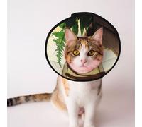 Custom Pet cones - Unique Design Cat & Dog Cone, Collar for Post-Surgery Recovery, Adjustable Neck What kind of wooden door S