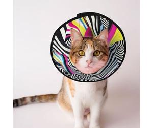 Custom Pet cones - Unique Design Cat & Dog Cone, Collar for Post-Surgery Recovery, Adjustable Neck Zebra Op Art L