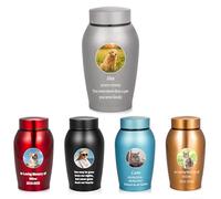 Custom Pet Cremation Urn for Dog Cat Ashes with Color Photo, Name and Date - Personalized Medium Stainless Steel Memorials Keepsake for Rabbit Bird Hamster Ashes