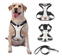Custom Pet Picture Dog Harness with Name and Phone Number Pet Leash Vest for Training and Walking with Attached Leash Optional