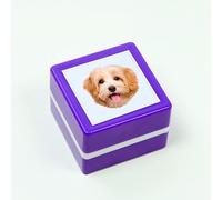 Custom Pet Stamp Self Inking- Gifts for Pet Lover,Custom Pet Stamp,Custom Pet Portrait Stamp,Personalised Stamp,Personalised Ink Stamp (Purple,Simple Model 1)
