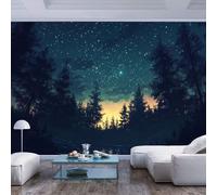 Custom Photo Wallpaper Wall Covering Star filled sky over forest at dusk modern style Star filled sky over forest at dusk modern style3D Effect Living Room Office Bedroom Children's Room Dining Room