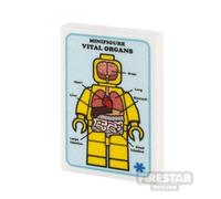 Custom Printed Tile 2x3 Medical Poster Vital Organs WHITE