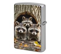Custom Raccoons in The Fall Tree Hole Lighter Case Personalized Metal Lighter Cover Holder Reusable Shockproof Protective Lighters Without Insert Gift for Men Women Dad Husband