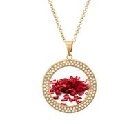 Custom Red Petals Scattered Picture Necklace Personalized Circle Chain Pendant Gold/Silver Photo Dog Tag Keepsake Necklaces Hip Hop Memorial Jewelry Gifts for Men Women, One size, Titanium Steel