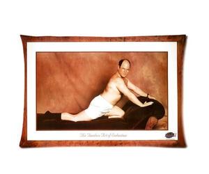 Custom Seinfeld George The Timeless Art of Seduction Rectangle Cotton&Polyester Pillow Cases Pillowcases Standard Size (20*30) (Twin sides)