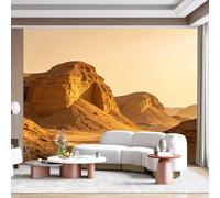 Custom Size Wall Mural Desert Canyon Golden Sandstone Landscape Sunset Minimalist SelfAdhesive Wall Fabric Removable for Home Office Decor
