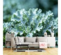 Custom Size Wall Mural Frosted Botanical Leaves Close Up Nature Texture Greenery Abstract Natural Landscape SelfAdhesive Wall Fabric Removable for Home Office Decor