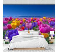 Custom Size Wall Murals 200 X 150 Cm, Realistic Tulip Field Landscape Non-Woven Wall Mural Poster, Dutch-Style Botanical Art Flowers Large Photo Wallpaper for Living Room Bedroom Kitchen Office