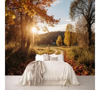Custom Size Wall Murals Autumn Forest Path Sunlight Fallen Leaves Lake Landscape Removable Self-Adhesive Wallpaper for Bedroom Living Room Dining Room