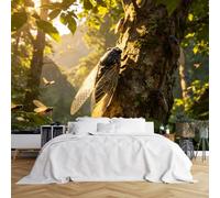 Custom Size Wall Murals Cicada Tree Sunbeam Mountain Forest View Wall Murals Realistic Wildlife Wallpaper Wall Covering Fabric Self-Adhesive Removable Wallpaper