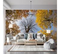 Custom Size Wall Murals,Low - Angle View Autumn Trees Clear Blue Sky Bare Branched Tree Textured Bark Yellow Foliage,Self - Adhesive Wall Fabric (NO PVC),Removable Wallpaper for Living Room