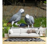 Custom Size Wall Murals,Pair of African Grey Parrots Red Tail Feathers Outdoor Perch,Self-Adhesive Wall Fabric(NO PVC) Removable Large Wallpaper for Living Room,Bedroom,Office