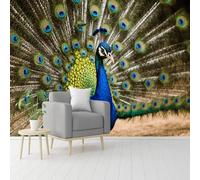 Custom Size Wall Murals, Peacock Feathers Exotic Bird Blue Green Wildlife, Self-Adhesive Removable Peel and Stick Wallpaper, for Living Room, Bedroom, Shop, Office, Kids