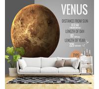 Custom Size Wall Murals,Planet Venus Surface Astronomy Space Art,Self-Adhesive Wall Fabric(NO PVC) Removable Large Wallpaper for Living Room,Bedroom,Office