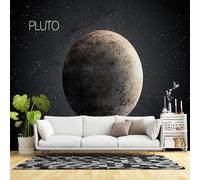 Custom Size Wall Murals,Pluto Planet Space Art Solar System Astronomy,Self-Adhesive Wall Fabric(NO PVC) Removable Large Wallpaper for Living Room,Bedroom,Office