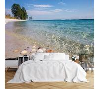 Custom Size Wall Murals,Serene Beach Scene Turquoise Water Seashells Pine Trees Partly Cloudy Sky,Self-Adhesive Wall Covering Fabric (NO PVC),Removable Wallpaper for Living Room Bedroom