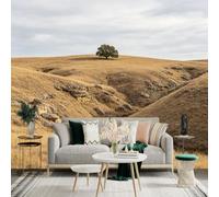 Custom Size Wall Sticker Mural， Lone Tree on Golden Hill， Dry Desert Terrain， Rocky Landscape， Rustic Nature Scene， for wall Decoration， peelandstick wall Decals.