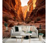 Custom Size Wall Sticker Mural， Natural Desert Canyon， Golden Sunlight， Flowing River， Majestic Rock Formations， for wall Decoration， peelandstick wall Decals.