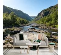 Custom Size Wall Sticker Mural， Scenic River Flowing Through Valley， Majestic Mountain Peaks， Lush Green Forest Landscape， for wall Decoration， peelandstick wall Decals.