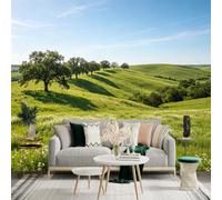 Custom Size Wall Sticker Mural， Scenic Rolling Green Hills， Sunny Summer Meadow with Trees， Serene Nature Landscape， for wall Decoration， peelandstick wall Decals.