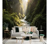 Custom Size Wall Sticker Mural， Sunbeams Over River Gorge， Mossy Rocks， Enchanted Forest Stream， for wall Decoration， peelandstick wall Decals.