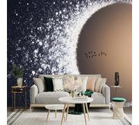 Custom Size Wall Sticker Mural， Swirling Stars， Celestial Globe， Flock of Birds， for wall Decoration， peelandstick wall Decals.