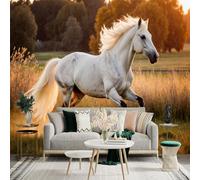 Custom Size Wall Sticker Mural， White Horse Galloping in Sunset Field， for wall Decoration， peelandstick wall Decals.