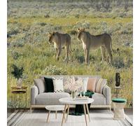 Custom Size Wall Sticker Murals,Wild African Lionesses Savanna Landscape,SelfAdhesive Wall Fabric(NO PVC) Large Photo Wallpaper for Living Room Bedroom Office
