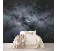 Custom Sized Murals Dark Cosmic Starry Sky Crescent Moon Oil Painting Removable Self-Adhesive Wallpaper for Bedroom Living Room Dining Room
