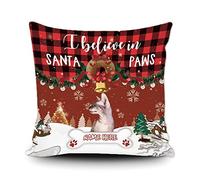 Custom Sphynx Cat Christmas Winter Decor Pillow Case Buffalo Check Plaid House Throw Pillow Cover For Couch Sofa Chair I Believe In Santa Paws Canvas 20X20 Inch Double Side