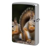 Custom Squirrel Animal Lighter Case Personalized Metal Lighter Cover Holder Reusable Shockproof Protective Lighters Without Insert Gift for Men Women Dad Husband