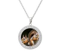 Custom Squirrel Animal Picture Necklace Personalized Circle Chain Pendant Gold/Silver Photo Dog Tag Keepsake Necklaces Hip Hop Memorial Jewelry Gifts for Men Women, One Size, Titanium Steel
