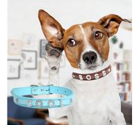 Custom Unique Cat Dogs Collar Necklace -1pc Personalized Name Rhinestone Pet Collar for Cats Doggie, Adjustable Leather-Like Kitten Puppy Collar with Sparkly Choose Letter (Skyblue, XL)