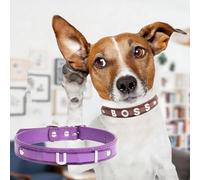Custom Unique Cat Dogs Collar Necklace -1pc Personalized Name Rhinestone Pet Collar for Cats Doggie, Adjustable Leather-Like Kitten Puppy Collar with Sparkly Choose Letter (Purple, S)