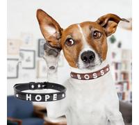 Custom Unique Cat Dogs Collar Necklace -1pc Personalized Name Rhinestone Pet Collar for Cats Doggie, Adjustable Leather-Like Kitten Puppy Collar with Sparkly Choose Letter (Black, M)