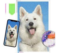 Customised Diamond Painting Kit, Personal Photo to Full Drill 5D Crystal Art, DIY Diamond Painting for Adults