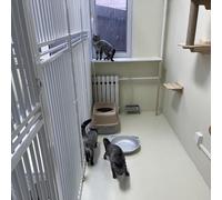 Customizable Cat Window Perch ExtenderEasy Assembly Durable Countertop Sill Mount Cat Bed for Sunbathing Easy to Clean (89x25x80cm 35x9.8x31.5")