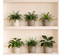 Customizable Magazine Fence Set 5 & 10 Pack Decorative Barrier Rods Side Mounted Cabinet Safety Guard Hardware Kit (10 Pack 120cm/3.9ft) for Preventing Falls