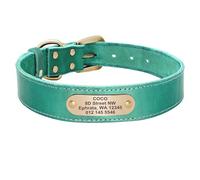 Customized Anti-Lost Adjustable Labrador Shiba Inu Pitbull Shepherd Dog Collar Personalized Pet ID Tag Nameplate Collar,Green,L