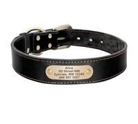 Customized Anti-Lost Adjustable Labrador Shiba Inu Pitbull Shepherd Dog Collar Personalized Pet ID Tag Nameplate Collar,black,XS