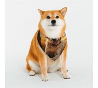Customized Dog Bandanas - Unique Designs for Everyday & Special Occasions, Perfect for Dog Clothes, Birthday, Valentine's Day, and More Autumn Lab