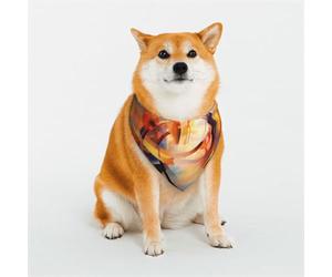 Customized Dog Bandanas - Unique Designs for Everyday & Special Occasions, Perfect for Dog Clothes, Birthday, Valentine's Day, and More Golden Silk Thread