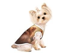 Customized Dog Sweaters For Small & Medium Dogs - Unique Designs, Soft Polyester Fleece, Perfect For Surgery Recovery & Daily Wear Happy Pomeranian M