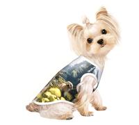 Customized Dog Sweaters for Small & Medium Dogs - Unique Designs, Soft Polyester Fleece, Perfect for Surgery Recovery & Daily Wear A Lively Little Dog Large