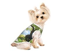 Customized Dog Sweaters For Small & Medium Dogs - Unique Designs, Soft Polyester Fleece, Perfect For Surgery Recovery & Daily Wear Green Path Serenity L