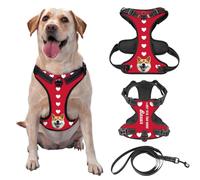 Customized No-Pull Dog Harness, Add Your Photo Logo Pet's Name, Personalized Adjustable Pet Reflective Undershirt, Personalized Gift for Outdoor Running Anti-Lost, Comes with Leash Optional